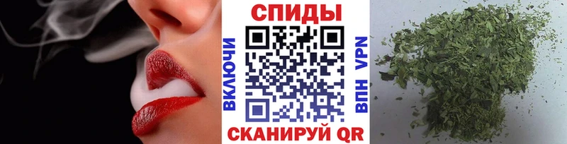 MEGA ONION  Сегежа  Бутират оксана 