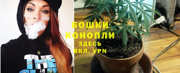 гидропоника Балабаново