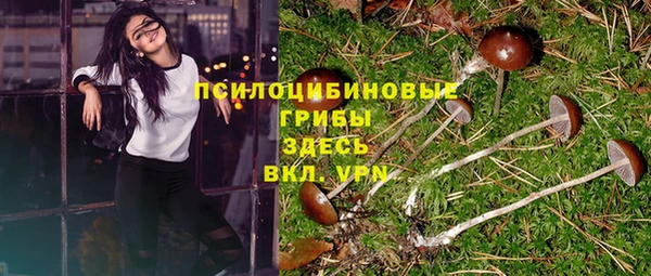 гидропоника Балабаново