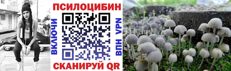 цена наркотик  Сегежа  площадка клад  Галлюциногенные грибы MAGIC MUSHROOMS 